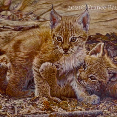 Golden Cuties - 120 hours
Brown Pastelmat Board
13.5" x 18.5"
Special Merit 12th Animal art
exhibition Space Light & Time Golden Cuties - 120 hours
Brown Pastelmat Board
13.5" x 18.5"
Special Merit 12th Animal art
exhibition Space Light & Time